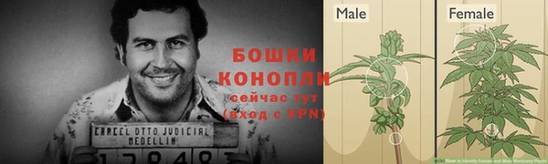 альфа пвп Новодвинск
