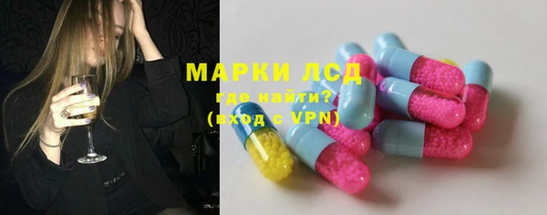 гашик Новозыбков