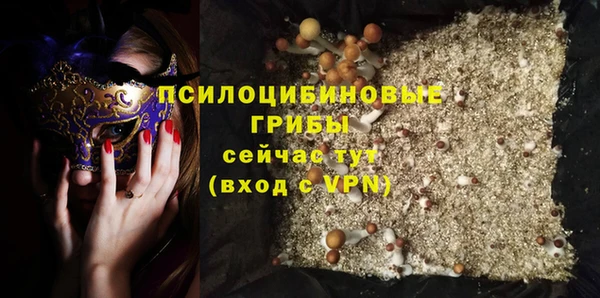 экстази Нязепетровск