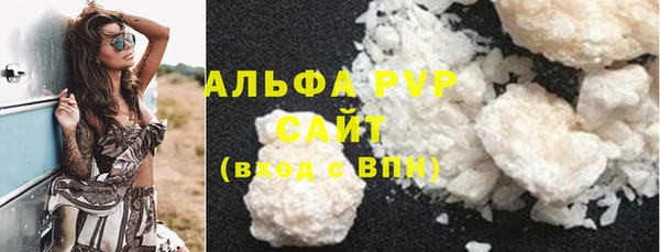 гашик Новозыбков
