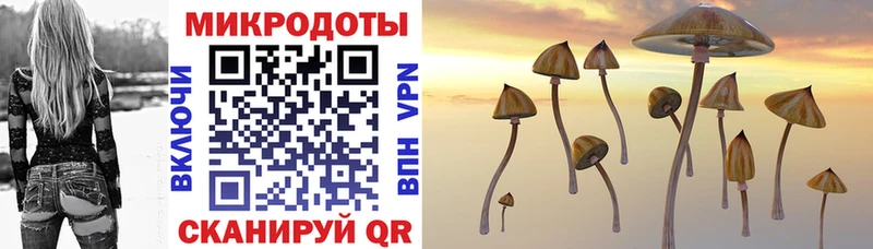 купить наркоту  Югорск  Галлюциногенные грибы Cubensis 