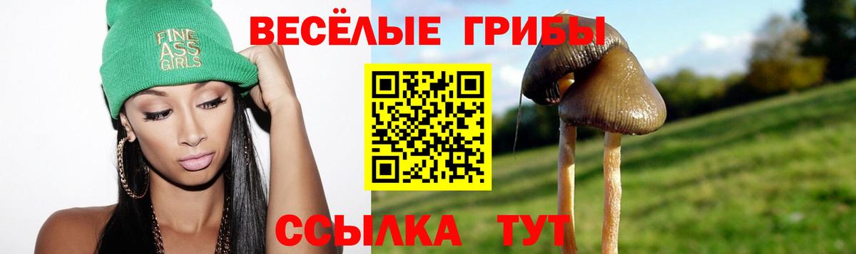 Галлюциногенные грибы прущие грибы Югорск